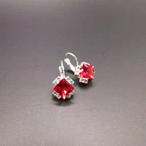 Small red earrings